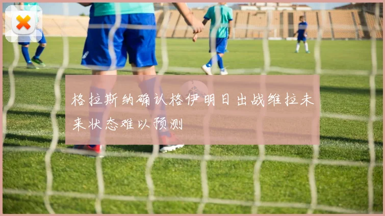 格拉斯纳确认格伊明日出战维拉未来状态难以预测